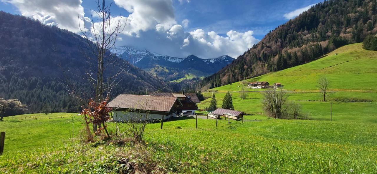 Fewo Allgaeuliebe Mit Wlan Oberstaufen Steibis Esterno foto